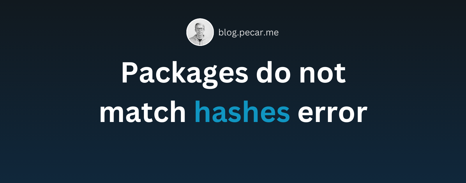 Fixing Python Package Hash Mismatches A Guide to Requirements File Errors - Packages do not match the hashes pip error